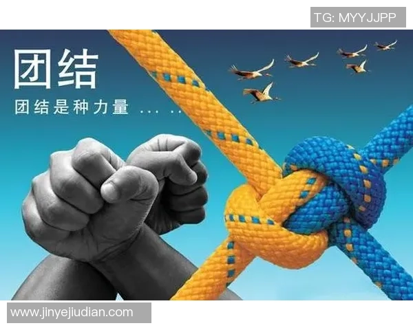 足球女团崛起之路展现女性力量与团队精神的完美结合